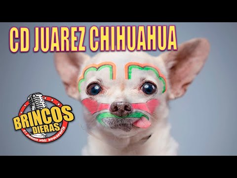 CD JUAREZ CHIHUAHUA